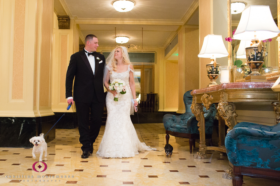 Bride and Groom walk Chihuahua and Maltese dogs in the Omni William Penn Urban Room Wedding Photography Pittsburgh Wedding Photographer