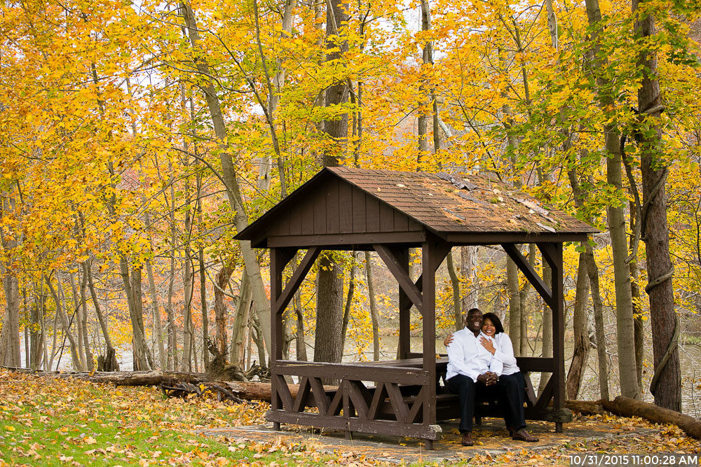 Fall North Park Engagement Session with Trees with Yellow Leaves