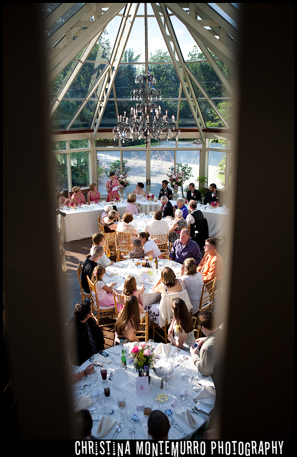 Springwood Conference Center Wedding Pittsburgh Toast from Balcony