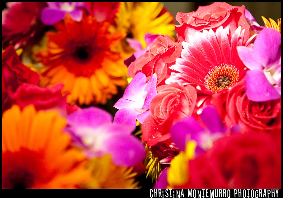 Pittsburgh Wedding Photography Vibrant Flowers