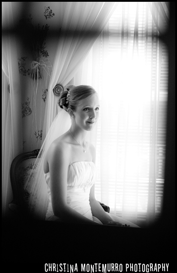 Pittsburgh wedding photographer bridal portrait