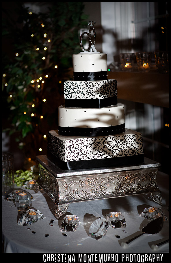 Greystone Fields Wedding Photography Pittsburgh - Wedding Cake