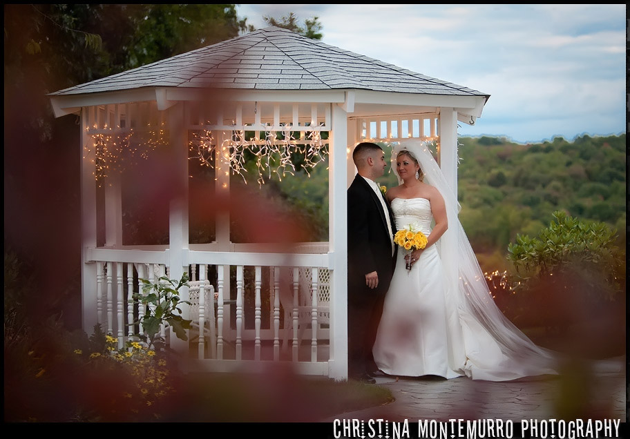 Greystone Fields Wedding Photography Pittsburgh