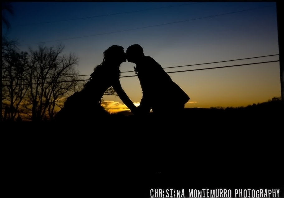 Pittsburgh Wedding Pictures - Bride and Groom Silhouette