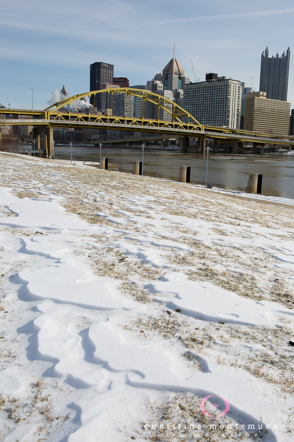 Pittsburgh North Shore Winter