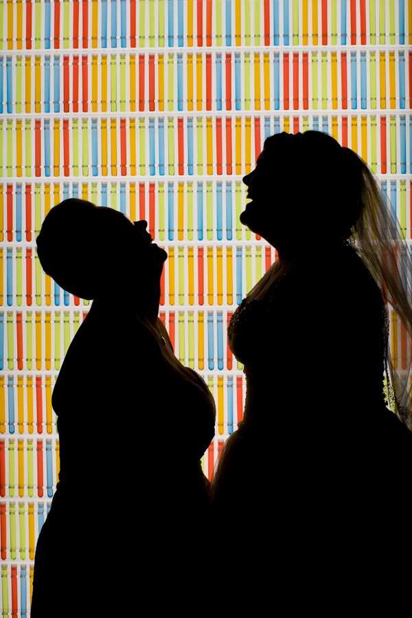 Silhouetted Brides at their Heinz History Center Wedding-7