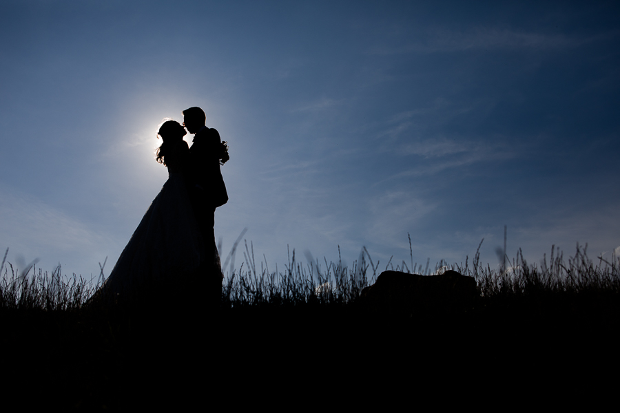 Bride and Groom Silhouette at North Park