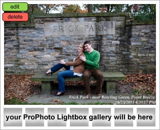 Frick Park Bowling Green Pittsburgh Engagement Photography